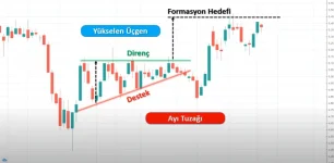 Ayı Tuzağı Grafik.webp