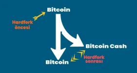 Hardfork.webp