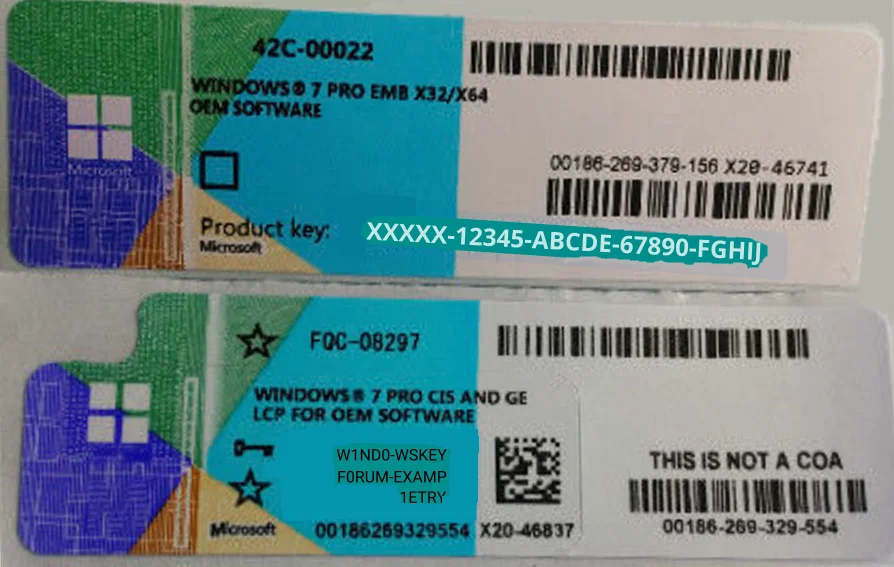 Windows Oem key.webp